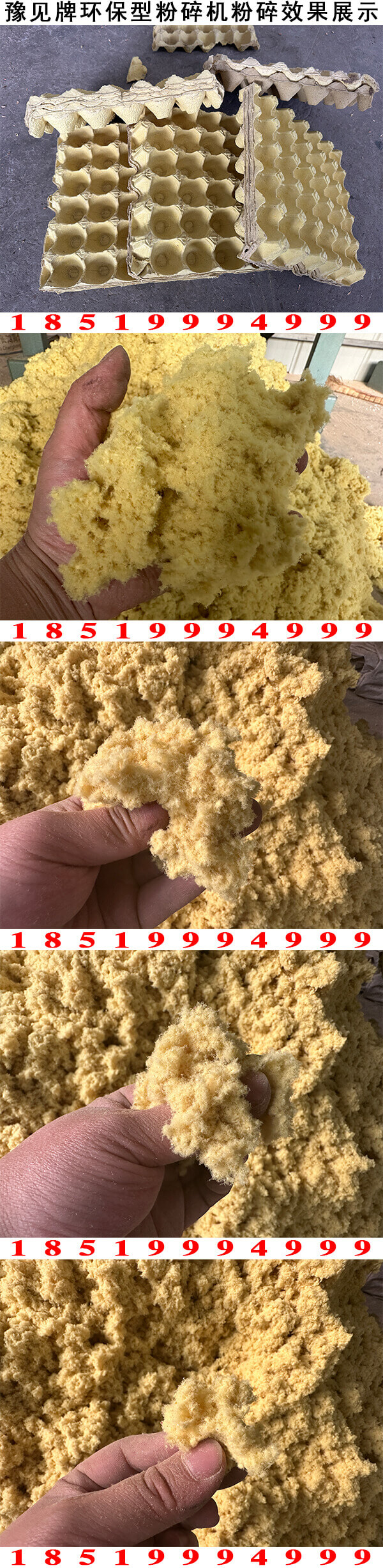 蛋托粉碎機圖片