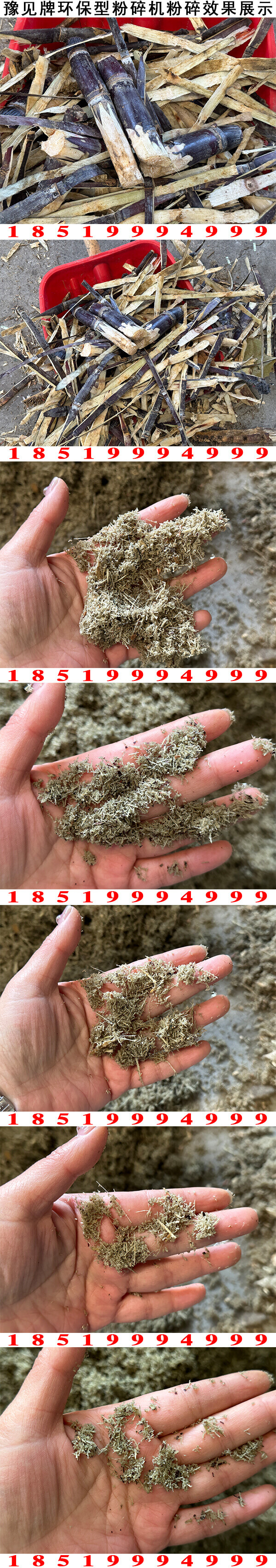 甘蔗皮粉碎機圖片