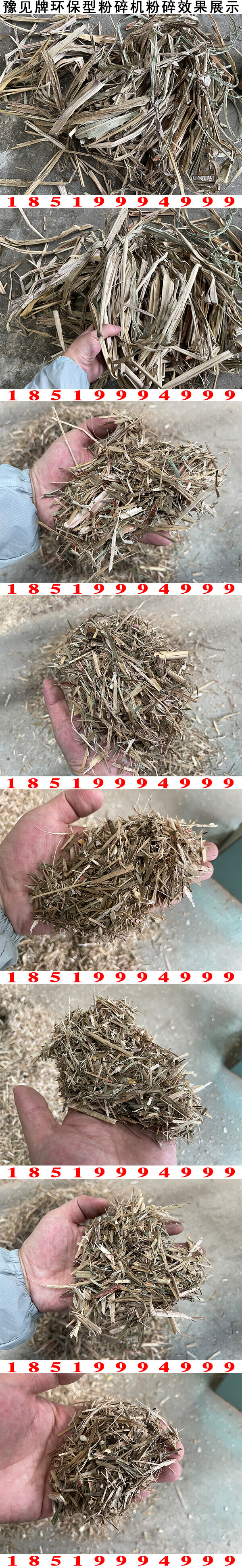 甘蔗葉粉碎機粉碎效果展示2
