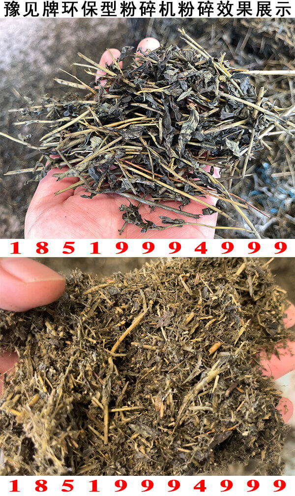 豫見(jiàn)牌環(huán)保型黃芩粉碎機粉碎效果展示