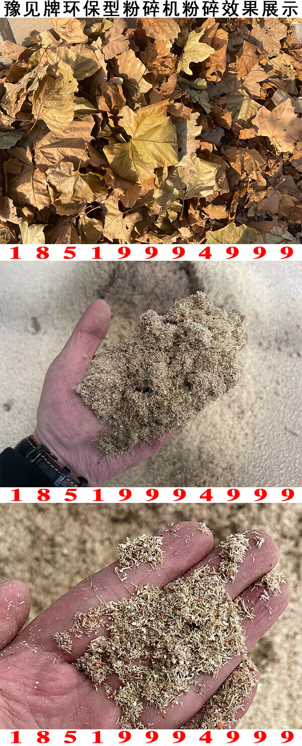 樹葉粉碎機圖片